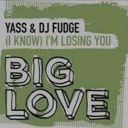 Dj Fudge I Know I M Losing You