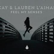 Feel My Senses Acay Lauren L Aimant