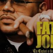 Fat Joe Ft Eminem Mase Lil Jon Remy Martin Lean Back