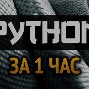 01 Основы Программирования Python