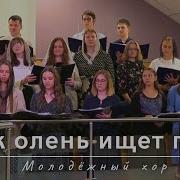 Как Олень Ищет Путь Молодёжный Хор 10 09 2023