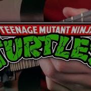 Teenage Mutant Ninja Turtles Theme On Guitar