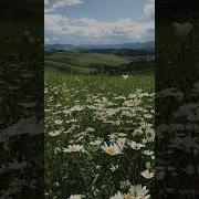 Минусовка Песни Jаны Алтай