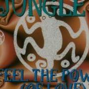 Jungle 5 Feel The Power Of Love The Power Mix