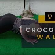 Crocodile Walk