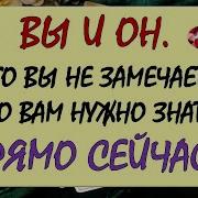 Это Совсем Близко Но Не Совсем Правильно Чувак