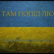 Ой Там Попід Лісом Українська Повстанська Пісня