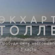 Выход Из Страданий В Мир Гармонии И Счастья Экхарт Толле Игры Таро