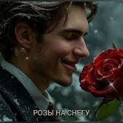 Новая Песня Розы На Снегу