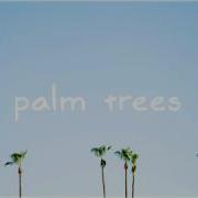 Mbb Palm Trees