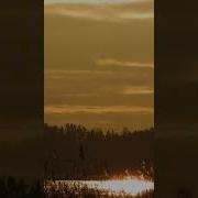 Поэзия Стихи Брюсов