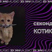 Котики Секонд Хенд