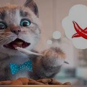 Little Kitten My Favorite Cat Kitten Preschool Game Play Fun Learning