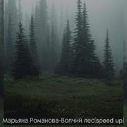 Марьяна Романова Волчий Лес Speed Up