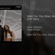 Mike Williams Vip Mix