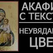 Акафист Богородице Неувядаемый Цвет