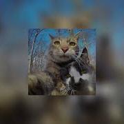 Лучше Всех Ускоренная Версия