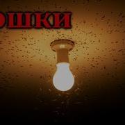 Истории На Ночь Мошки