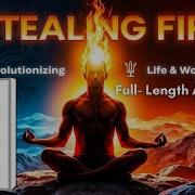 Steven Kotler Stealing Fire Audiobook
