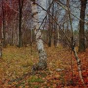 Есенин О Природе