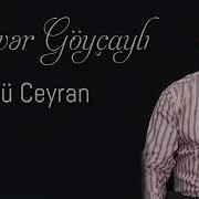 Elsəvər Göyçaylı Gözü Ceyran