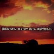 Изумительное Чтение Корана Сура 32 Саджда Аяты 12 30 Мухаммад Люхайдан