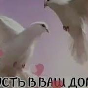 Хаммага Яхши Кайфият Хамрок Болсин