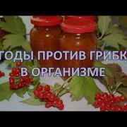 Брусника Голубика Ой Ей Ей
