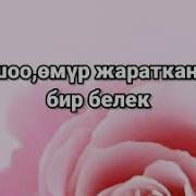 Туулган Кунго Каало Тилек