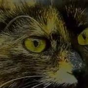 Григорій Квітка Основ Яненко Конотопська Відьма 1987