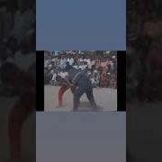 Xorazm Kurash Polvonlar