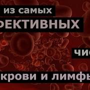 Чистка Крови И Лимфы По Методу Нормана Уокера