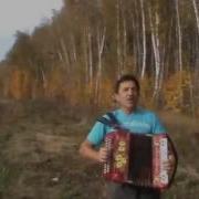 Владимир Белоглазов Журавли Улетают