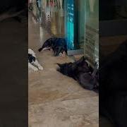 Жить Хорошо А Хорошо Жить Еще Лучше