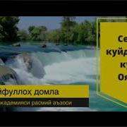 Рукия Сайфуллох Домла
