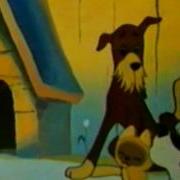 Senoji Animacija Kaciukas Vardu Au