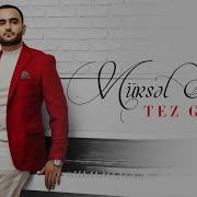 Mursel Tez Gelsin Exclusive