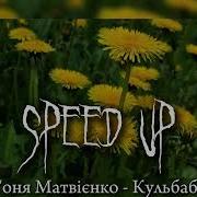 Кульбаби Speed Up