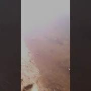 Рыбалка Караси На Закидушку Села Биджан