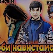 Китоби Навистама Хон
