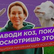 Хочу Купить Козу