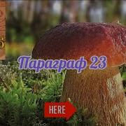Биология 6 Класс 23 Параграфф Пасечник