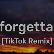 Swae Lee Unforgettable Remix Tik Tok