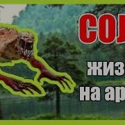 Dota 2 Жизнь На Арене Соло Вурдалак