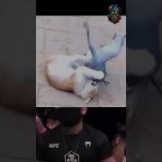 Ногу На Голову Хабиб