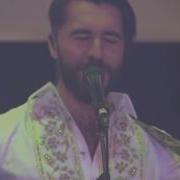 Chingiz Mustafayev Taleh Qehramanov Roya Miriyeva Palmas Papuri