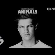 Animals Radio Edit