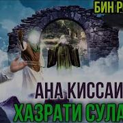 Кисаи Пайгамбарон Хазрати Сулаймон