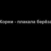 Корни Плакала Береза Караоке