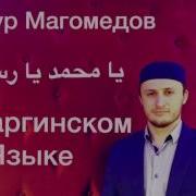 Мансур Магомедов Даргинский Нашид